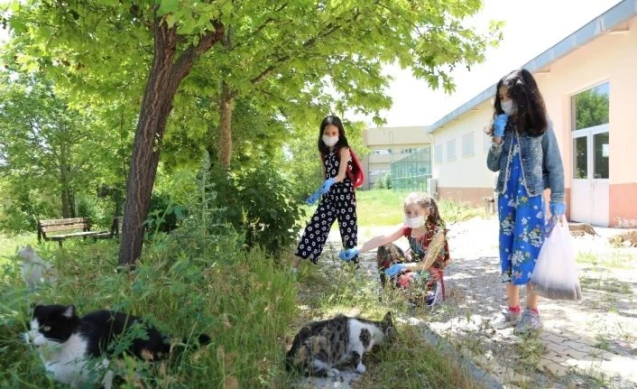 Yaşları henüz 10, sokağa çıktılar ilk işleri hayvanları beslemek oldu