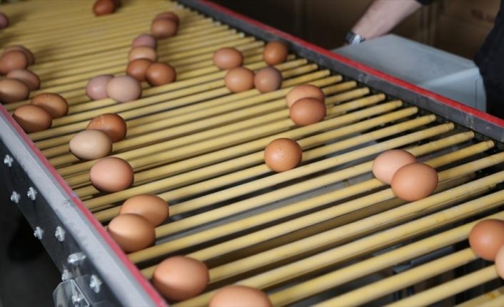 Yumurta üreticileri talebe yetişemiyor