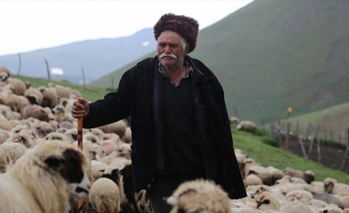 85 yaşındaki Süleyman dedenin bitmeyen çobanlık tutkusu