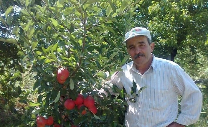 Ağaçtan düşen eski muhtar hayatını kaybetti