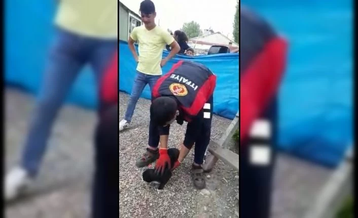 Ağrı’da ağacın tepesinde mahsur kalan kedi kurtarıldı