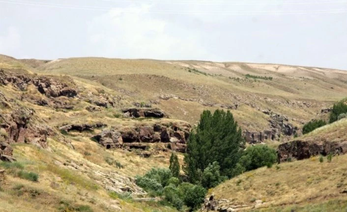 Ahlat sazlıkları ve Madavans Vadisi ‘kesin korunacak hassas alan’ ilan edildi