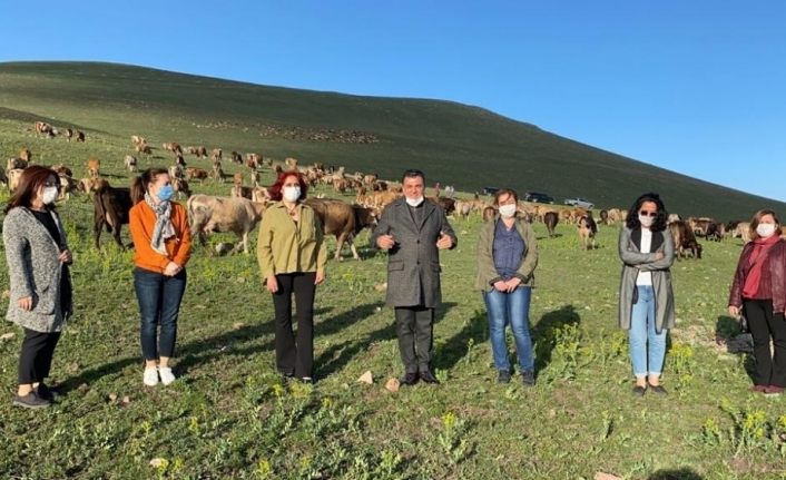 Ardahan’dan İzmir’e et sevkıyatı başladı