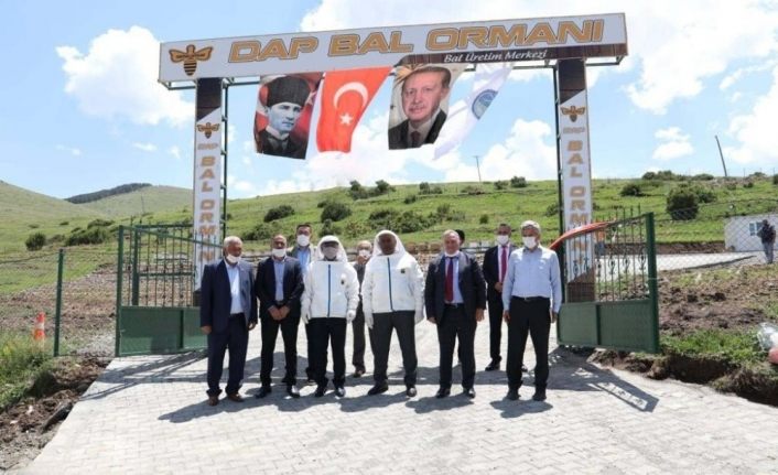 Başkan Sekmen Bal Ormanı’nı ziyaret etti