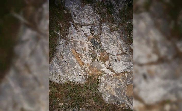 Bitlis’te, PKK terör örgütüne ait el yapımı patlayıcı imha edildi