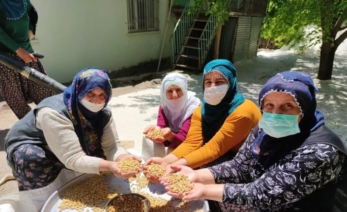 Bu köy dünyaya dut ihraç ediyor