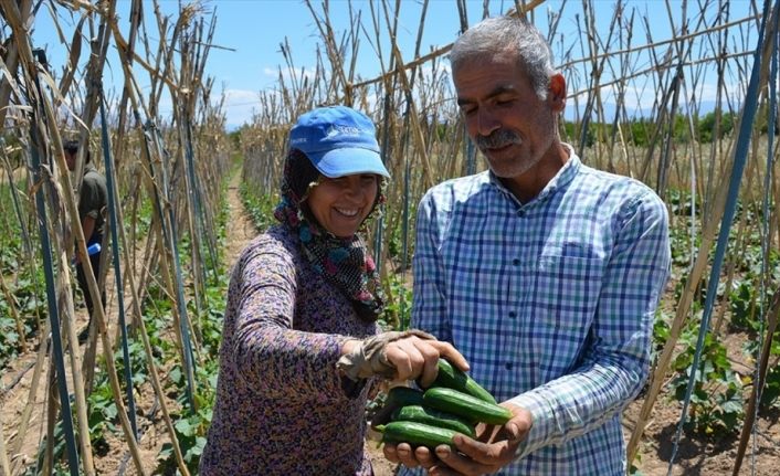 Çiftçilerin ürün ve gelir yelpazesi desteklerle genişliyor