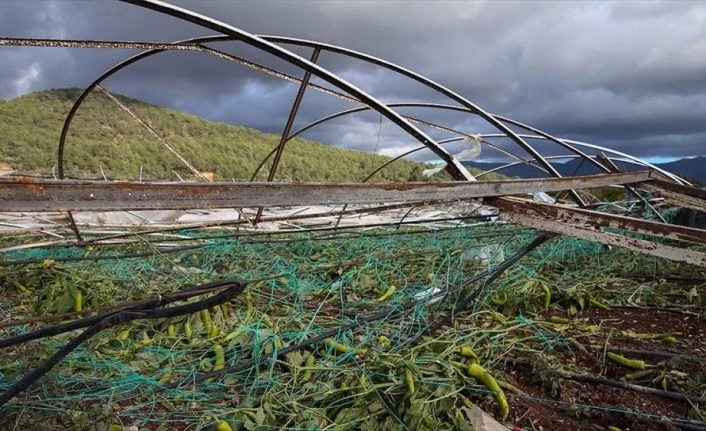 Doğal afetlerden zarar gören çiftçiye 780 milyon liralık tazminat ödenecek