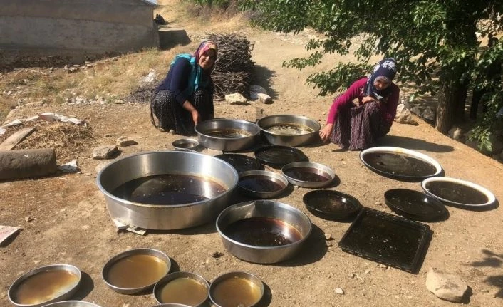 Dutun pekmeze dönüşen tatlı yolculuğu başladı
