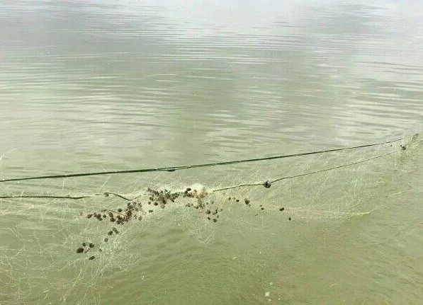 Elazığ’da kaçak balık avı ile mücadele