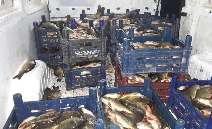 Elazığ’da kaçak balık avına 10 bin TL ceza kesildi