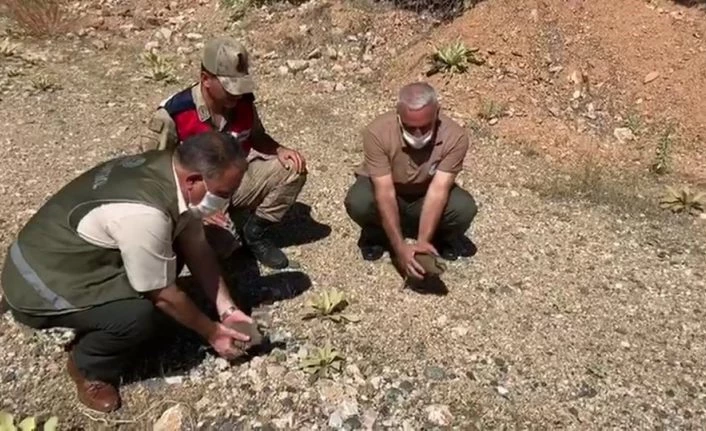 Elazığ’da usulsüz avlanan 1 şahıs yakalandı