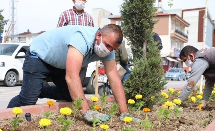 Erciş Belediyesi caddeleri çiçeklerle donatıyor