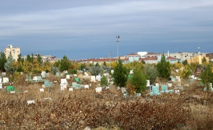 Erzincan’da 2019 yılında 1527 kişi hayatını kaybetti