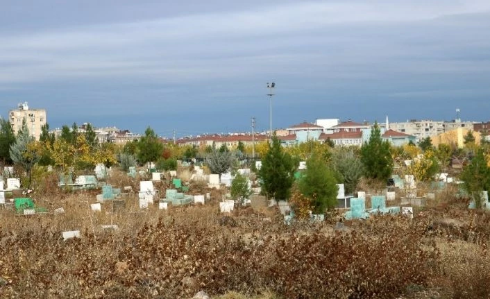 Erzincan’da 2019 yılında 1527 kişi hayatını kaybetti