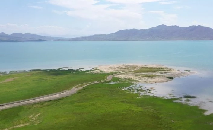 Flamingo cenneti Van Erçek Gölü “kesin korunacak hassas alan” ilan edildi