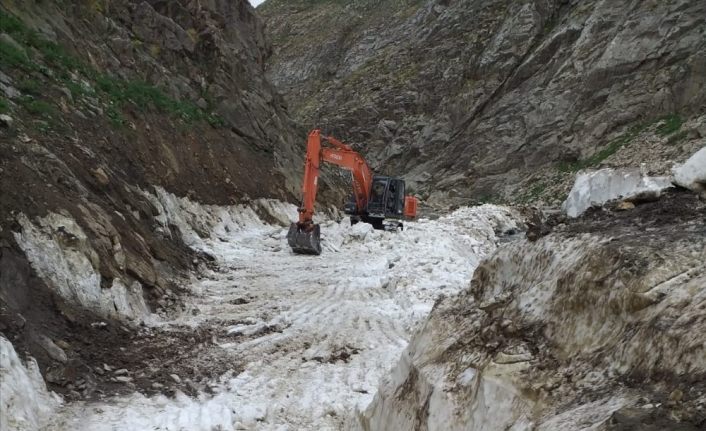 Van'da Haziran’ın son haftasında kar tüneli görenleri şaşırttı