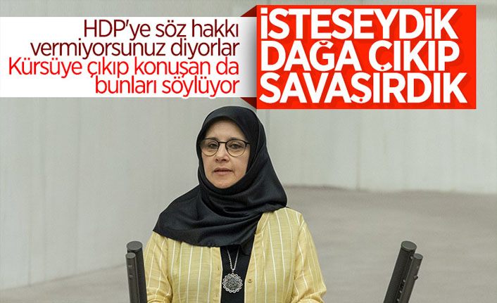 HDP'den Meclis'te terör propagandası