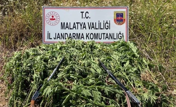 Jandarmadan kenevir operasyonu