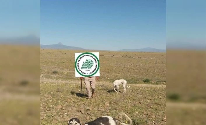 Kaçak avcılara 7 bin 536 TL  idari para cezası