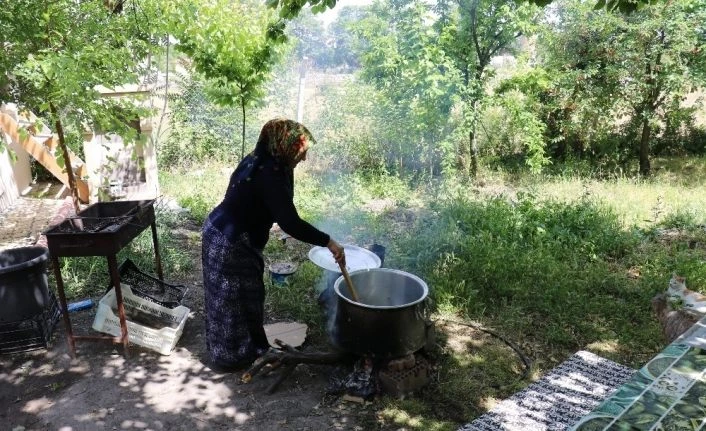 Malatya’da dut pekmezi mesaisi başladı