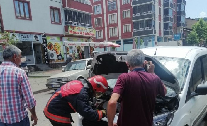 Motora giren yılan, serviste tampon sökülerek çıkarıldı