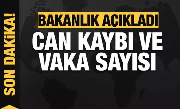 Sağlık Bakanlığı: Türkiye'de koronavirüs nedeniyle can kaybı5.131'e yükseldi 30 Haziran 2020