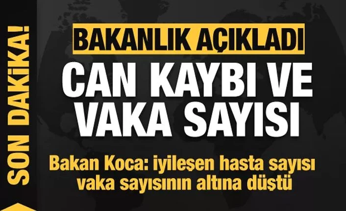Sağlık Bakanlığı: Türkiye'de koronavirüs nedeniyle can kaybı 4.807'ye yükseldi 14 Haziran 2020