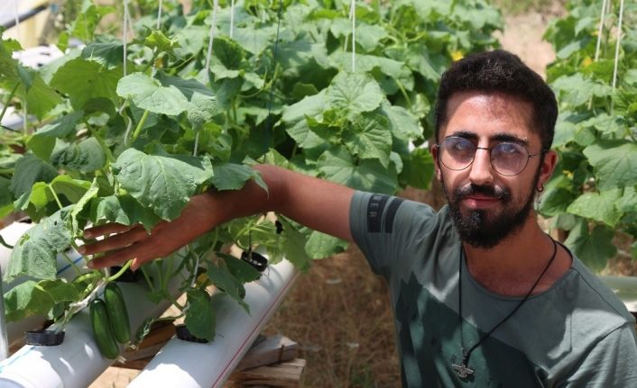 Salgın tatilini fırsata çevirdi, topraksız tarıma yöneldi