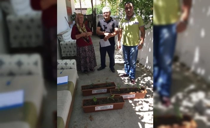Taze sebzeni balkonda üret projesi