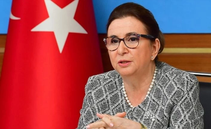 Ticaret Bakanı Pekcan: Habur ve Gürbulak kapılarını bu hafta açıyoruz