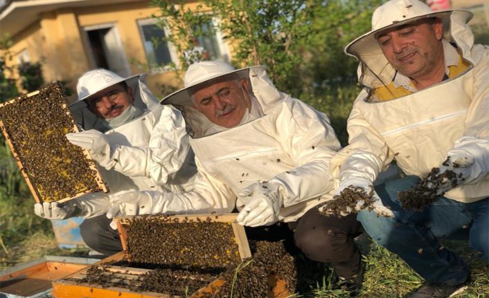 Van İl Tarım ve Orman Müdürü Görentaş Çatak arı kovanları incelendi