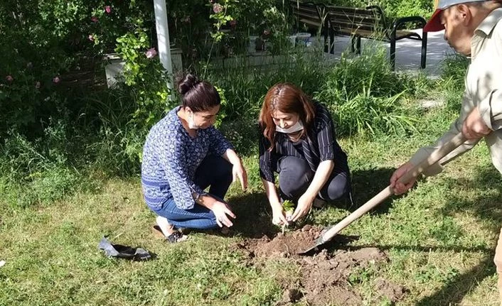 Van Ticaret Borsası ve İŞGEM’den Erciş üzümüne katkı 