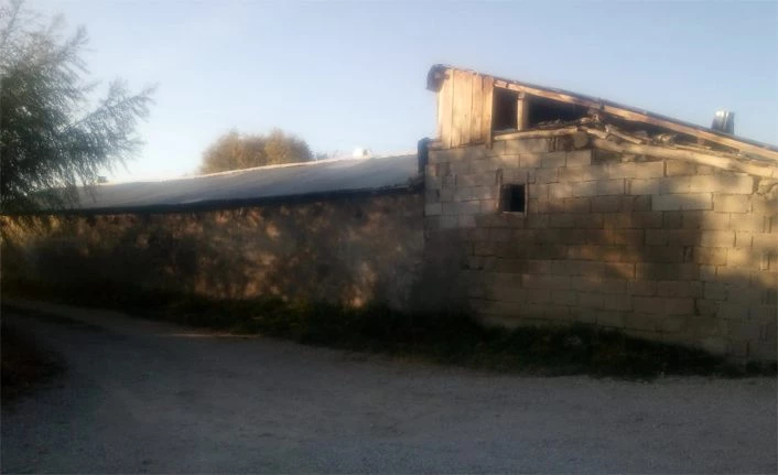 Vanlılar soruyor: Ahırlar şehir dışına ne zaman çıkarılacak?
