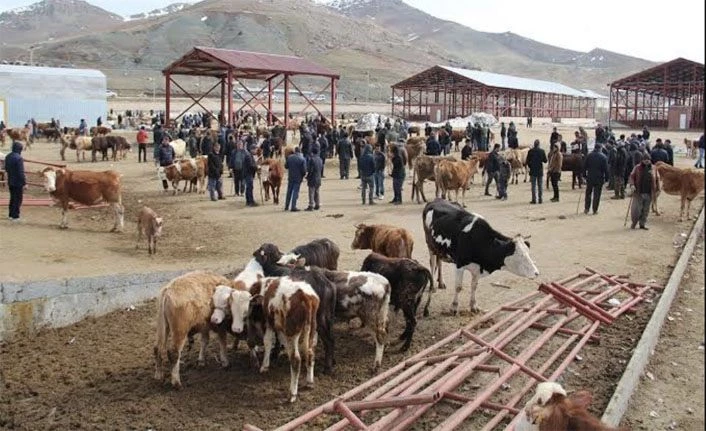 VOSİAD Başkanı Bozkurt: Van hayvan pazarı özelleştiriliyor mu?