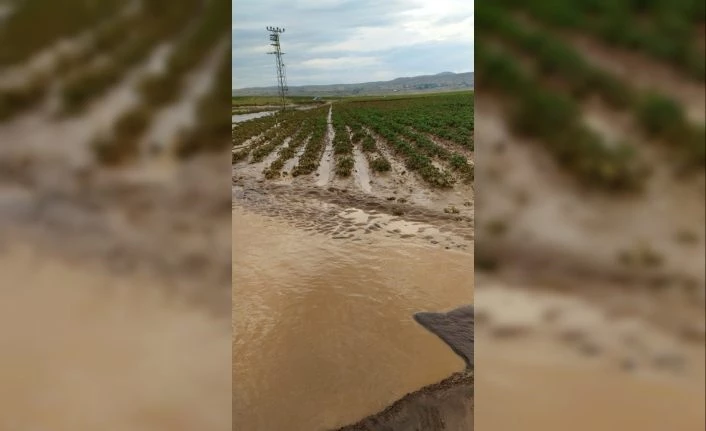 Ahlat’ta sel suları ekili alanlara ve sulama kanallarına zarar verdi