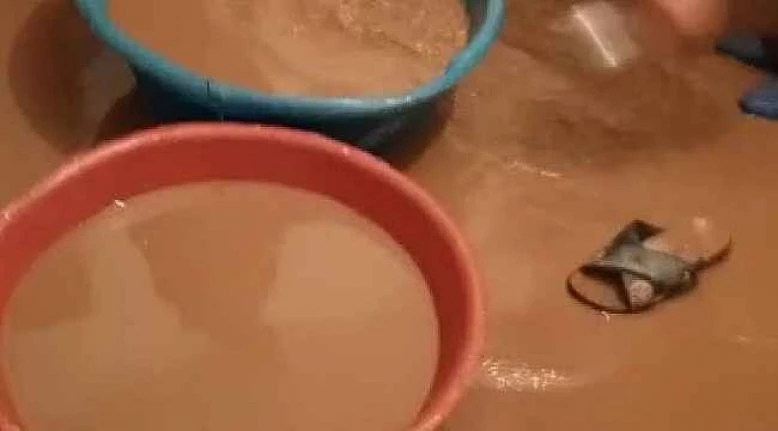 Bingöl’de yağmur ve dolu bir köyde ekine zarar verdi, bazı evleri su bastı