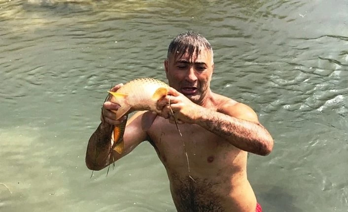 Çıplak elle balık tutan adamın yeteneği şaşırttı