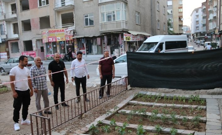 Depremde hasar alıp yıkılan binanın yeri bahçe oldu