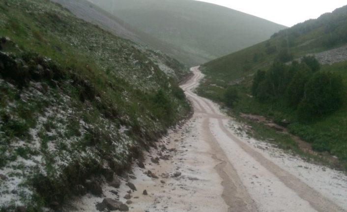 Dolu yağışı sonrası her yer bembeyaz oldu