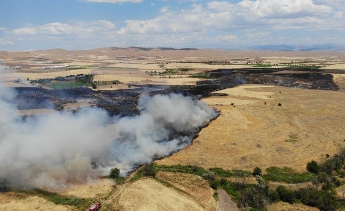 Elazığ’da yangın saatler sonra kontrol altına alındı, 800 dönüm ekili arazi kül oldu