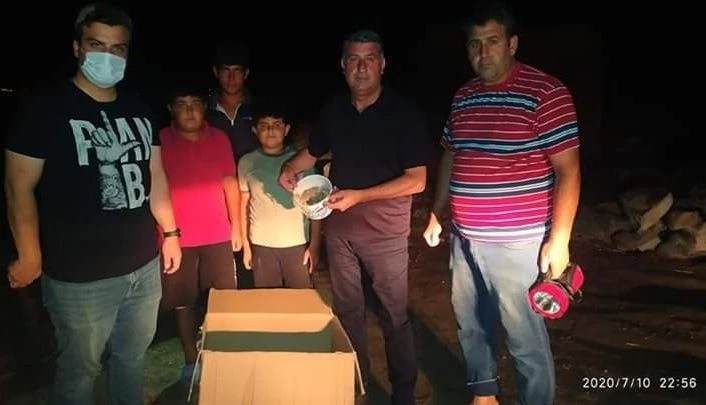 Fırtınadan yuvaları dağılan yavru  serçeler,  koruma altına alındı