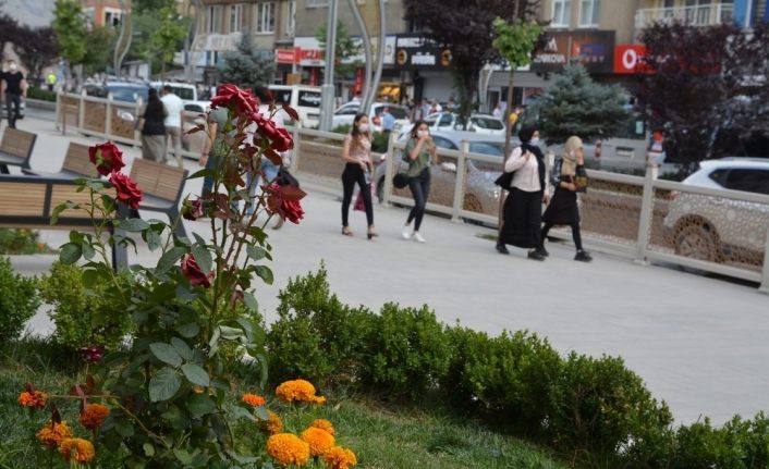 Hakkari halkı korona virüs denetimlerine uyuyor