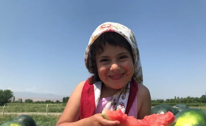 Iğdır’da bal küpü hasadı başladı