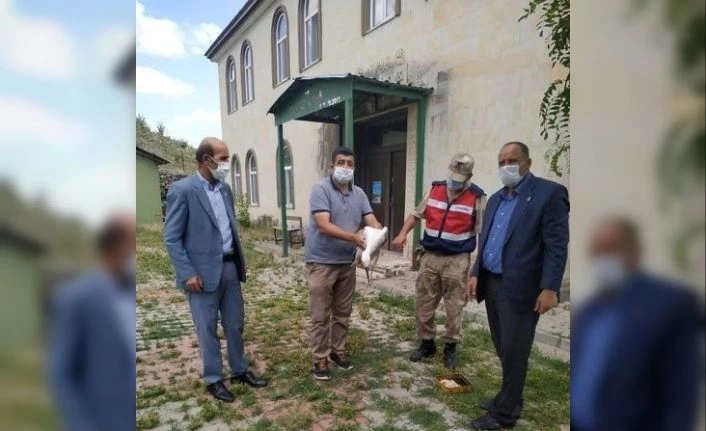 Muş’ta yaralı kuşlar tedavi altına alındı