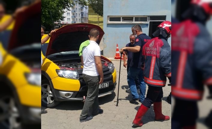 Taksinin motoruna yılan girdi