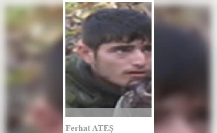 Tunceli’de 500 bin TL ödüllü listedeki terörist etkisiz hale getirildi