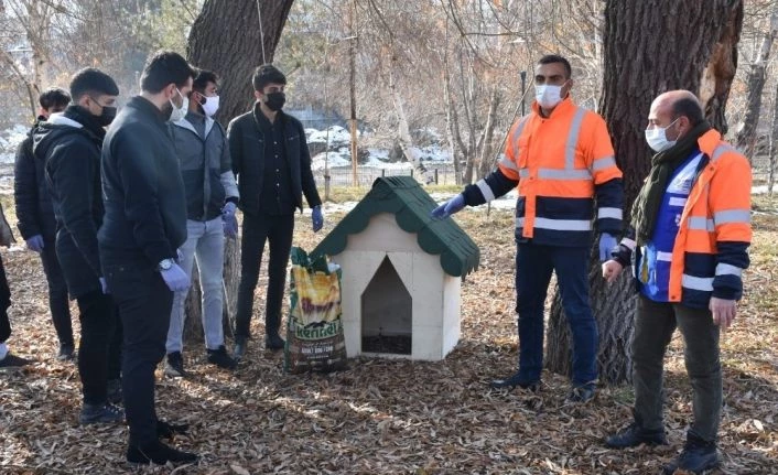Tatvan Belediyesinden sokak hayvanlarına kulübe