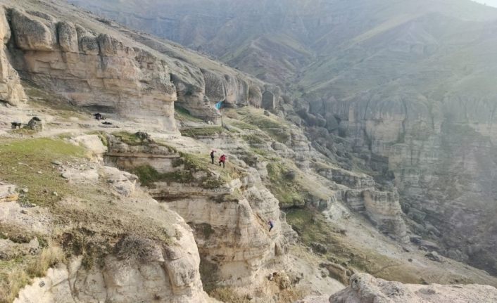 Tunceli’de kayalıklarda mahsur kalan keçileri AFAD ekipleri kurtardı