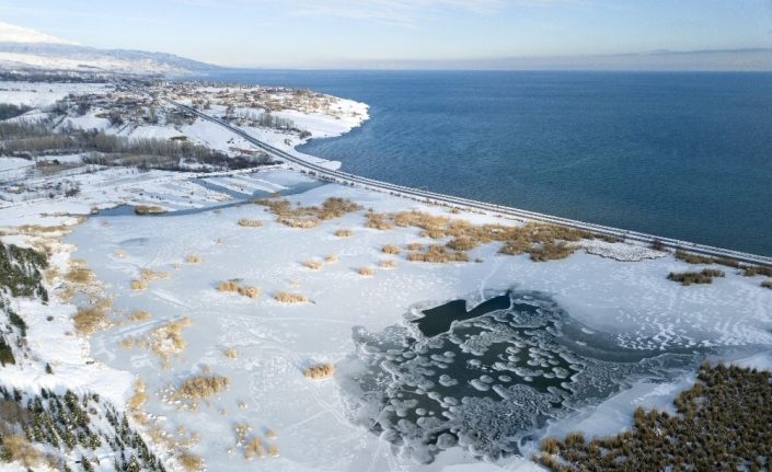 Ahlat’taki kuş cenneti dondu